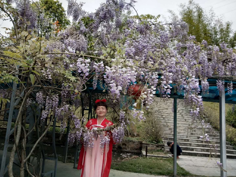 莉莉的第一张照片--光泽婚介网