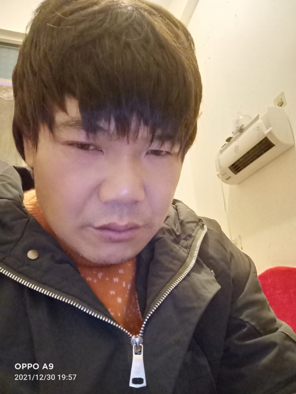 小鸟找窝的第二张照片--光泽婚介网